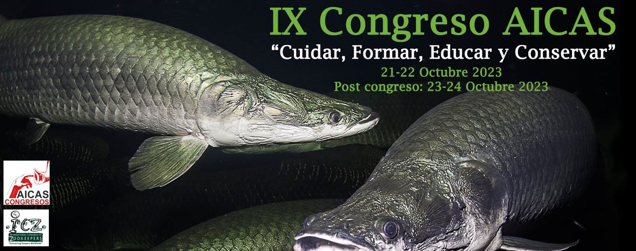 IX Congreso AICAS del 21 al 24 de octubre 2023